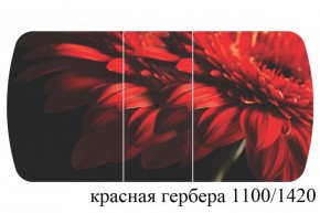 БОСТОН - 3 Стол раздвижной 1100/1420 опоры Триумф в Краснокамске - krasnokamsk.ok-mebel.com | фото 19