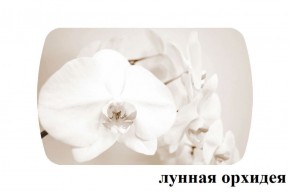 БОСТОН опоры Триумф в Краснокамске - krasnokamsk.ok-mebel.com | фото 33