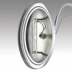 Бра Lumion INCANTO 8034/1W в Краснокамске - krasnokamsk.ok-mebel.com | фото 7