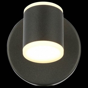 Бра ST-Luce Formolla SL1597.401.01 в Краснокамске - krasnokamsk.ok-mebel.com | фото 5