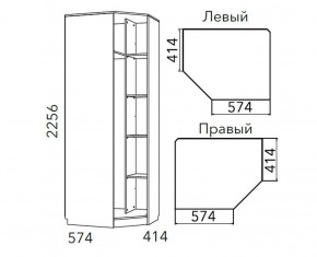 Детская Фанк Шкаф угловой Левый/Правый НМ 013.04-02 М в Краснокамске - krasnokamsk.ok-mebel.com | фото 3