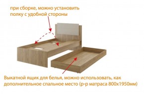 Дуглас (подростковая) М14 Кровать в Краснокамске - krasnokamsk.ok-mebel.com | фото 5