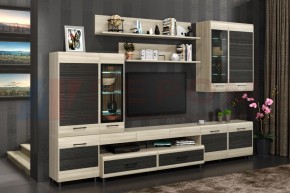 Гостиная Камелия Композиция 4 (Ясень Асахи комбинированный) в Краснокамске - krasnokamsk.ok-mebel.com | фото