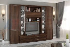 Гостиная Карина Композиция 19 (Акация Молдау) в Краснокамске - krasnokamsk.ok-mebel.com | фото 5