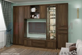 Гостиная Карина Композиция 21 (Акация Молдау) в Краснокамске - krasnokamsk.ok-mebel.com | фото