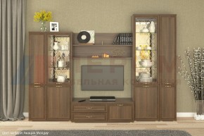 Гостиная Карина Композиция 24 (Акация Молдау) в Краснокамске - krasnokamsk.ok-mebel.com | фото