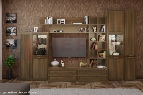 Гостиная Карина Композиция 5 (Акация Молдау) в Краснокамске - krasnokamsk.ok-mebel.com | фото