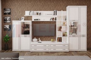 Гостиная Карина Композиция 5 (Снежный ясень) в Краснокамске - krasnokamsk.ok-mebel.com | фото