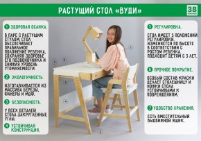 Комплект растущий стол и стул с чехлом 38 попугаев «Вуди» (Белый, Без покрытия, Салют) в Краснокамске - krasnokamsk.ok-mebel.com | фото 2