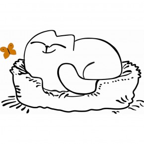 Кровать двухуровневая Кот № 900.1 ЛЕВАЯ (туя светлая/белый) в Краснокамске - krasnokamsk.ok-mebel.com | фото 2