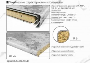 Кухонный фартук со столешницей (А-01) в едином стиле (3050 мм) в Краснокамске - krasnokamsk.ok-mebel.com | фото 6