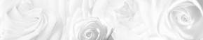 Кухонный фартук Цветы 217 МДФ матовый (3000) Flowers в Краснокамске - krasnokamsk.ok-mebel.com | фото 1