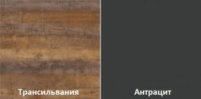 Кухонный гарнитур угловой Трансильвания 2400x1600 мм (Стол. 38 мм) Антрацит/Трансильвания в Краснокамске - krasnokamsk.ok-mebel.com | фото 3