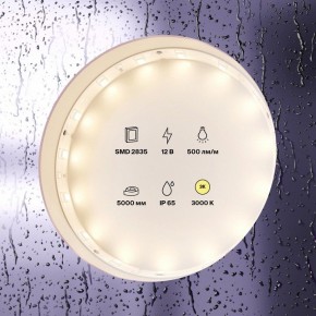 Лента светодиодная Maytoni Led strip 10105 в Краснокамске - krasnokamsk.ok-mebel.com | фото 2