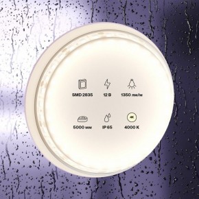 Лента светодиодная Maytoni Led strip 10118 в Краснокамске - krasnokamsk.ok-mebel.com | фото 2