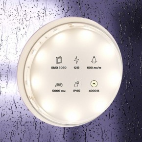 Лента светодиодная Maytoni Led strip 10124 в Краснокамске - krasnokamsk.ok-mebel.com | фото 3