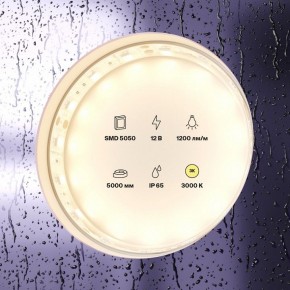 Лента светодиодная Maytoni Led strip 10131 в Краснокамске - krasnokamsk.ok-mebel.com | фото 2