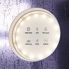 Лента светодиодная Maytoni Led strip 20005 в Краснокамске - krasnokamsk.ok-mebel.com | фото 2