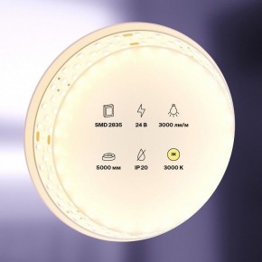 Лента светодиодная Maytoni Led strip 20031 в Краснокамске - krasnokamsk.ok-mebel.com | фото 2