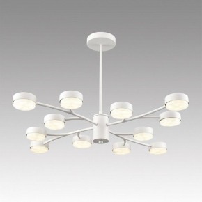 Люстра на штанге Lumion TORINA 8265/12 в Краснокамске - krasnokamsk.ok-mebel.com | фото 3