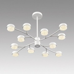 Люстра на штанге Lumion TORINA 8265/12 в Краснокамске - krasnokamsk.ok-mebel.com | фото 5