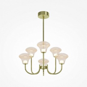 Люстра на штанге Maytoni Dynasty MOD402PL-L20BS3K в Краснокамске - krasnokamsk.ok-mebel.com | фото 2
