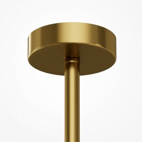 Люстра на штанге Maytoni Museo MOD436PL-07BS в Краснокамске - krasnokamsk.ok-mebel.com | фото 5
