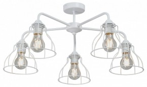 Люстра на штанге Vitaluce V3102 V3102-0/5PL в Краснокамске - krasnokamsk.ok-mebel.com | фото