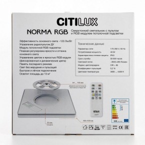 Накладной светильник Citilux Norma CL749K301 в Краснокамске - krasnokamsk.ok-mebel.com | фото 10