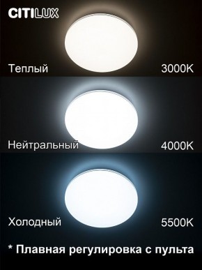 Накладной светильник Citilux Симпла CL714330G в Краснокамске - krasnokamsk.ok-mebel.com | фото 4