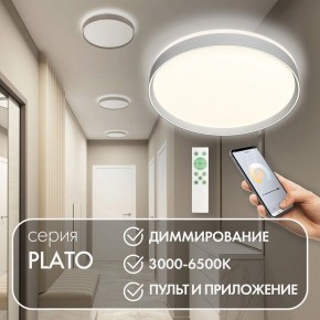 Накладной светильник Denkirs PLATO DK6511-WH/1 в Краснокамске - krasnokamsk.ok-mebel.com | фото 4