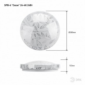 Накладной светильник Эра Классик SPB-6-24-4K (C) в Краснокамске - krasnokamsk.ok-mebel.com | фото 6
