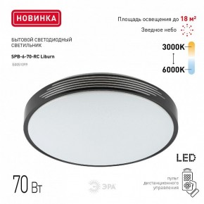 Накладной светильник Эра Классик SPB-6-70-RC Liburn в Краснокамске - krasnokamsk.ok-mebel.com | фото 10
