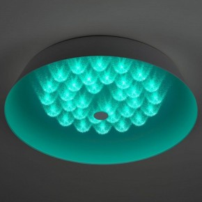 Накладной светильник Эра  SPB-6-60-RC Locus RGB в Краснокамске - krasnokamsk.ok-mebel.com | фото 8