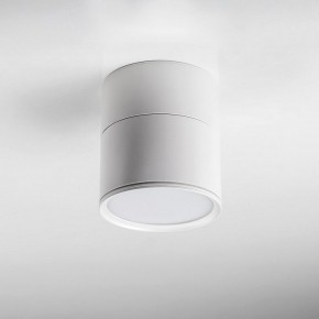 Накладной светильник Lightstar Acuto 215886 в Краснокамске - krasnokamsk.ok-mebel.com | фото 3