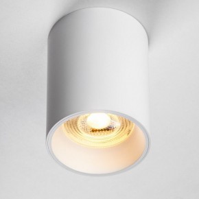 Накладной светильник Lightstar Rullo 213436 в Краснокамске - krasnokamsk.ok-mebel.com | фото 2