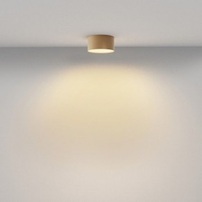 Накладной светильник Maytoni Zon C032CL-12W2.7K-RD-MG в Краснокамске - krasnokamsk.ok-mebel.com | фото 4