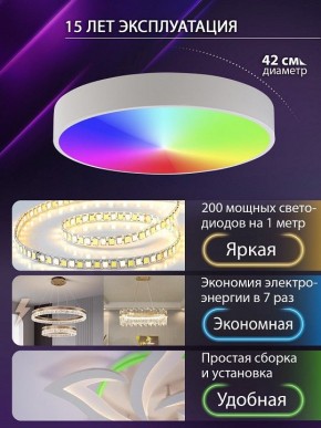 Накладной светильник Natali Kovaltseva MODERN LED LAMPS 81105/1C в Краснокамске - krasnokamsk.ok-mebel.com | фото 6