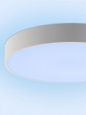 Накладной светильник Natali Kovaltseva MODERN LED LAMPS 81105/2C в Краснокамске - krasnokamsk.ok-mebel.com | фото 12