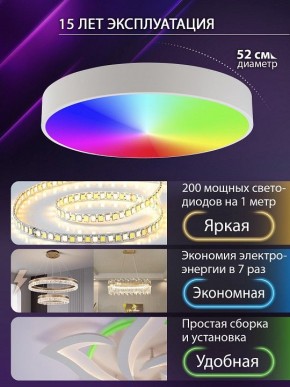 Накладной светильник Natali Kovaltseva MODERN LED LAMPS 81105/2C в Краснокамске - krasnokamsk.ok-mebel.com | фото 6