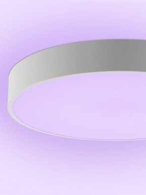 Накладной светильник Natali Kovaltseva MODERN LED LAMPS 81105/2C в Краснокамске - krasnokamsk.ok-mebel.com | фото 9