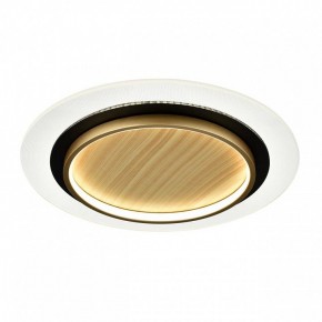 Накладной светильник Sonex Sunny 7731/80L в Краснокамске - krasnokamsk.ok-mebel.com | фото 4
