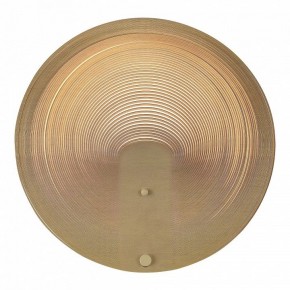 Накладной светильник ST-Luce Fossil SL6900.501.16 в Краснокамске - krasnokamsk.ok-mebel.com | фото 2