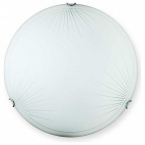 Накладной светильник TopLight Wifa TL9142Y-00WH в Краснокамске - krasnokamsk.ok-mebel.com | фото