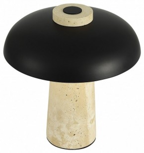 Настольная лампа декоративная ST-Luce Earthy SL1194.424.01 в Краснокамске - krasnokamsk.ok-mebel.com | фото 5