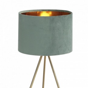Настольная лампа декоративная ST-Luce FUEGO SL6242.704.01 в Краснокамске - krasnokamsk.ok-mebel.com | фото 5