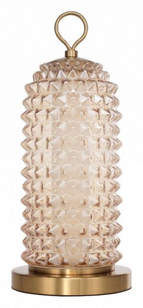 Настольная лампа декоративная ST-Luce SAGUARO SL6144.304.01 в Краснокамске - krasnokamsk.ok-mebel.com | фото