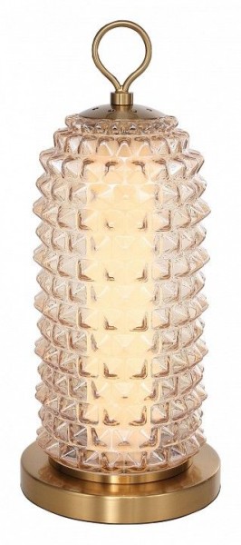 Настольная лампа декоративная ST-Luce SAGUARO SL6144.304.01 в Краснокамске - krasnokamsk.ok-mebel.com | фото 2