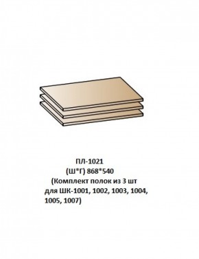 ПЛ-1021 (Комплект полок из 3 шт для ШК-1001, 1002, 1003, 1004, 1005, 1007) в Краснокамске - krasnokamsk.ok-mebel.com | фото