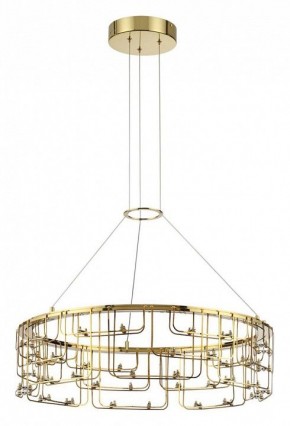 Подвесная люстра Odeon Light ZAHA 7060/44L в Краснокамске - krasnokamsk.ok-mebel.com | фото 2
